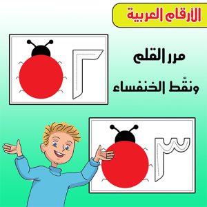 خنفساء الأرقام العربية