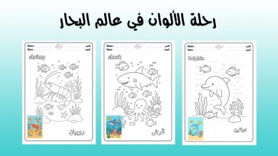 كراسة تلوين قاع البحر