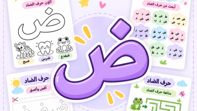 أنشطة حرف الضاد