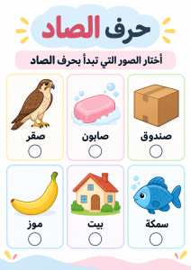 اختر الكلمات التي تبدأ بالصاد